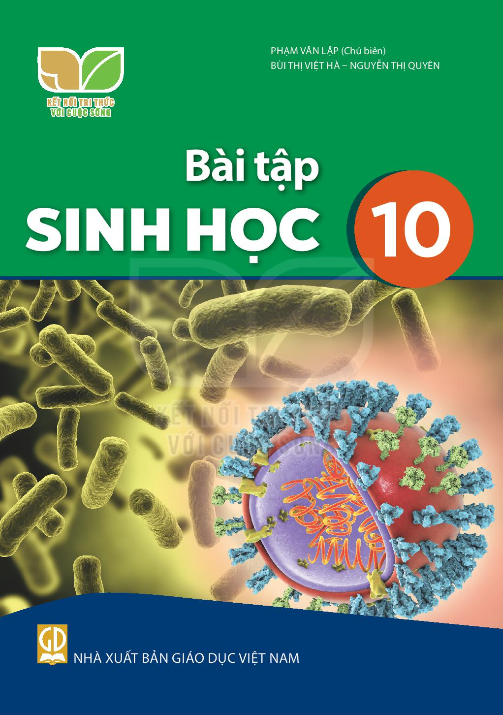 Download SBT Sin học 10 - Kết Nối Tri Thức