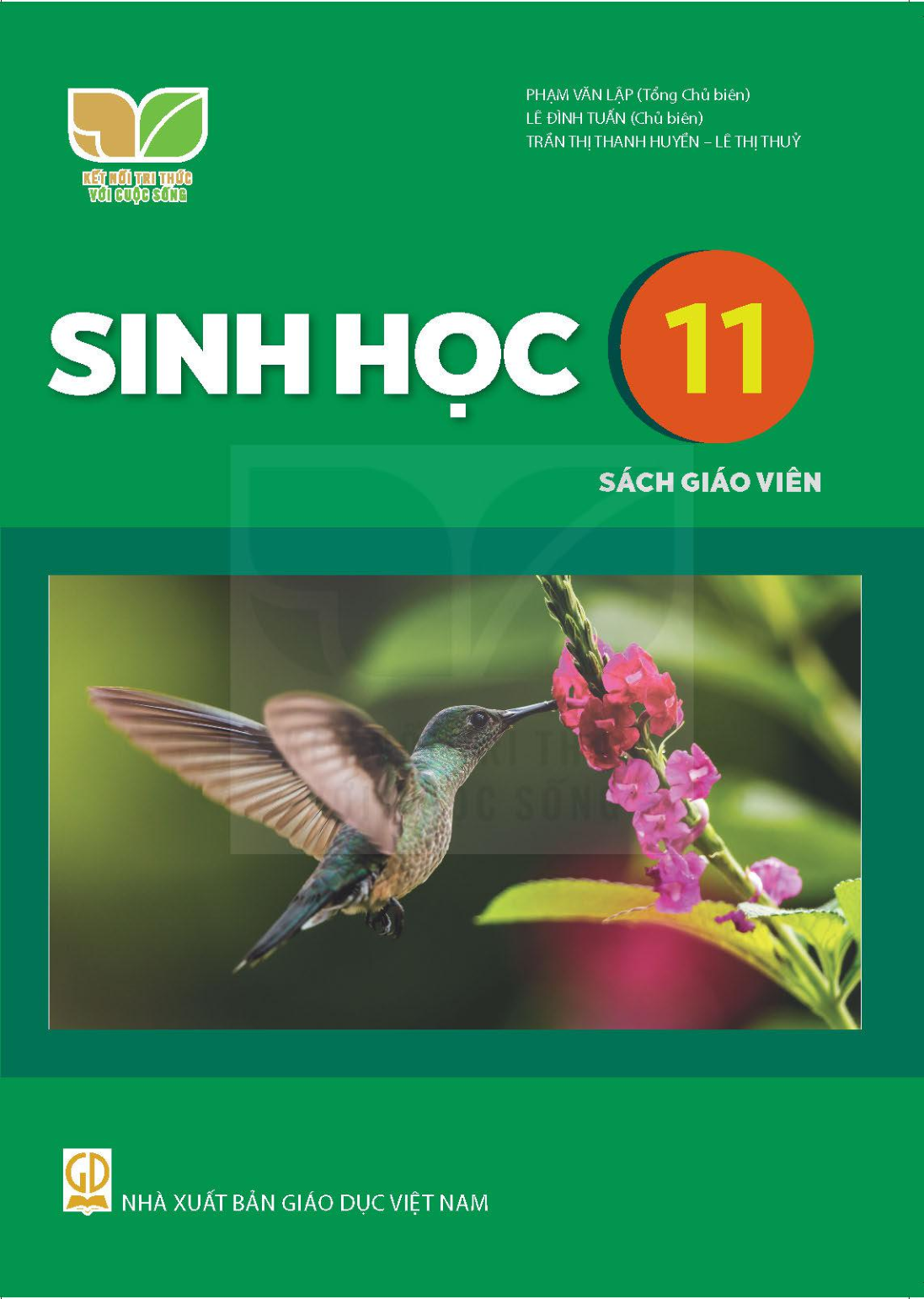 Download SGV Sinh học 11 - Kết Nối Tri Thức