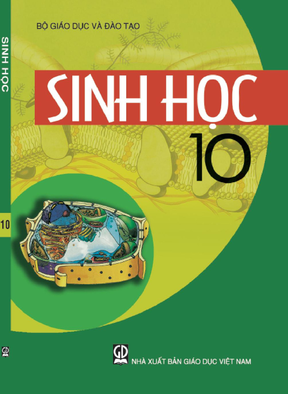 Download Sinh học 10