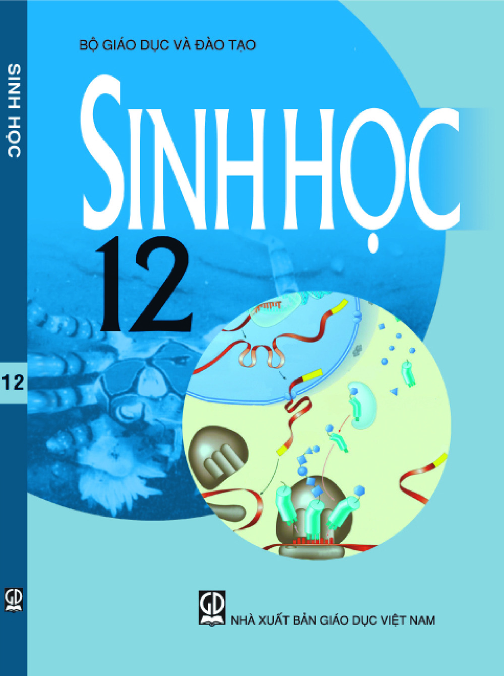 Download Sinh học 12